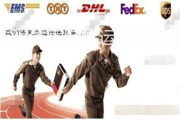 珠海DHL快递电话图片