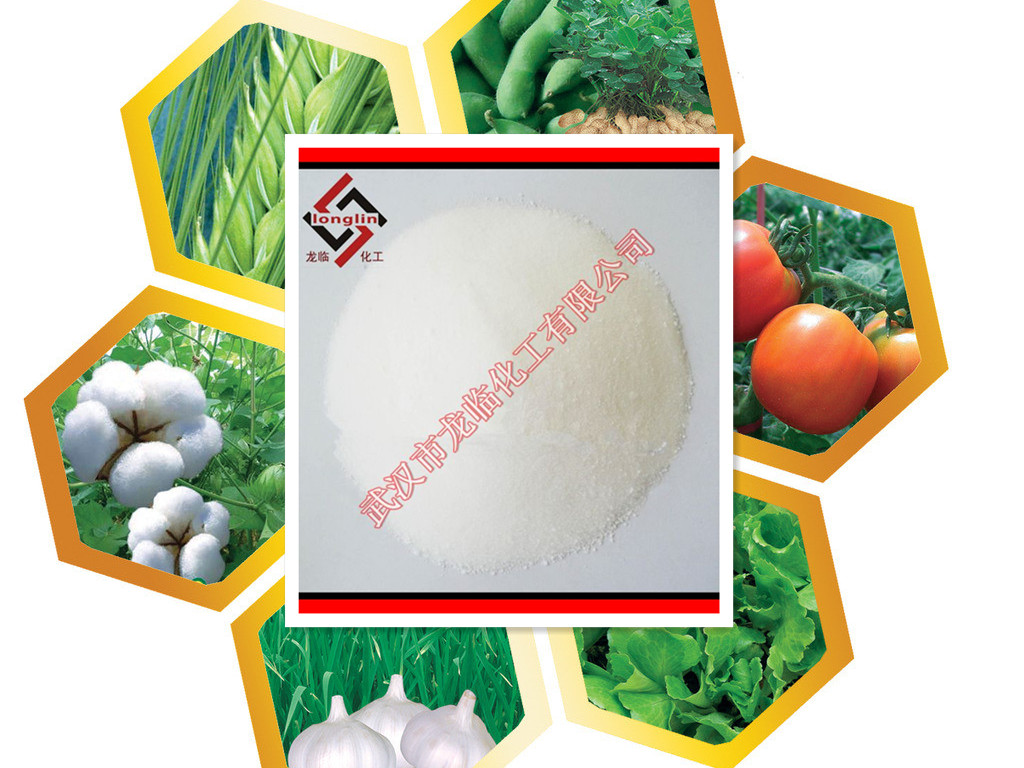 重質(zhì)碳酸鉀工廠直銷