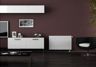 威能暖氣片圖片/威能暖氣片樣板圖 (1)