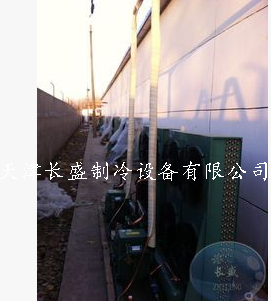 冷庫(kù)設(shè)計(jì)圖片/冷庫(kù)設(shè)計(jì)樣板圖 (1)