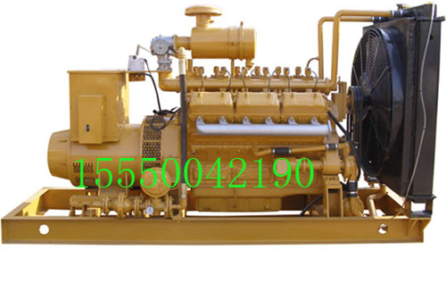 300KW沼氣發(fā)電機(jī)組生產(chǎn)廠家圖片