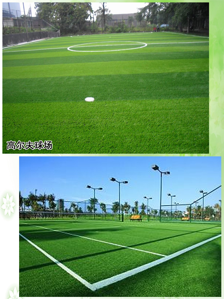 北京仿真草坪批發(fā)圖片