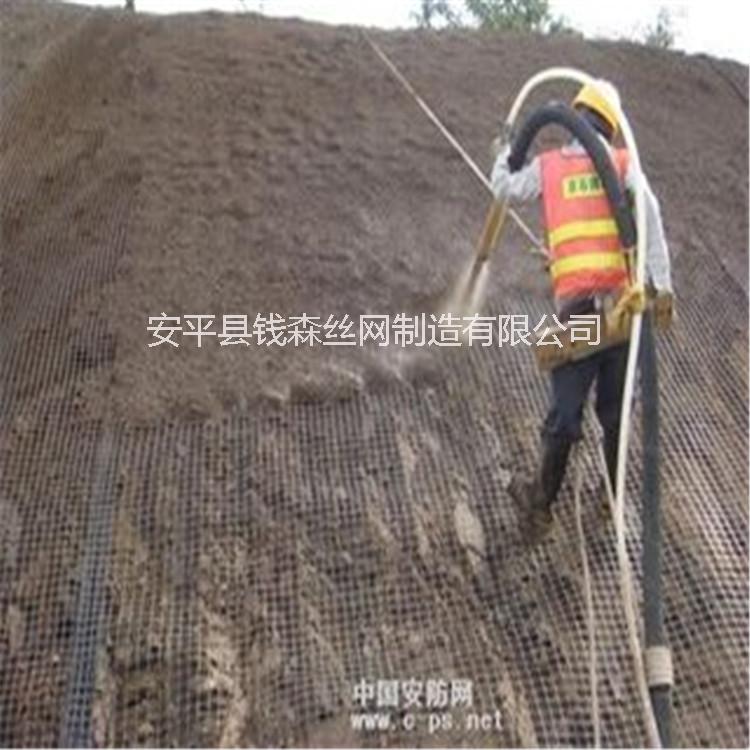 護坡噴漿鐵絲網(wǎng)圖片/護坡噴漿鐵絲網(wǎng)樣板圖 (2)