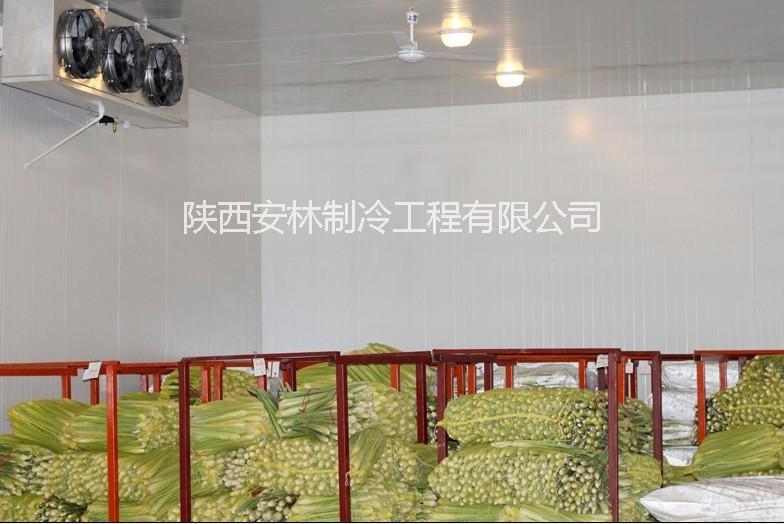 西安銅川冷庫(kù)工程案例圖片/西安銅川冷庫(kù)工程案例樣板圖 (1)