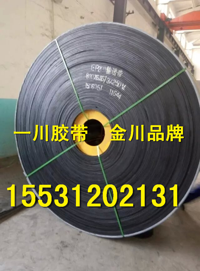 輸送帶圖片/輸送帶樣板圖 (3)