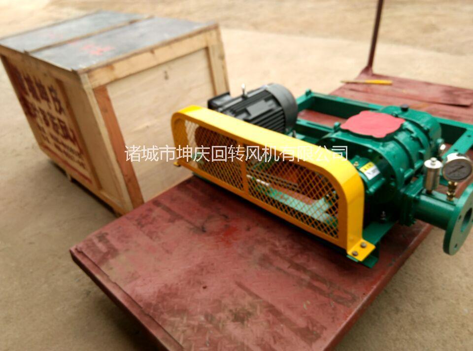 湖北羅茨鼓風(fēng)機(jī)哪家好圖片/湖北羅茨鼓風(fēng)機(jī)哪家好樣板圖 (2)