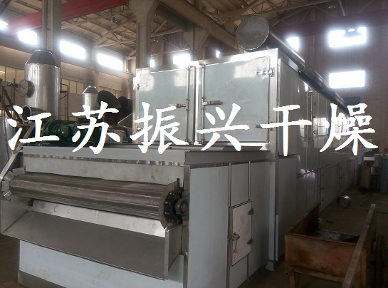 益母草圖片/益母草樣板圖 (3)