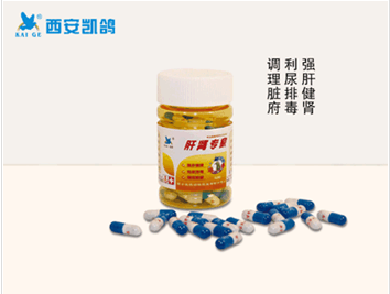 凱鴿鴿藥【肝腎專家】純中藥圖片