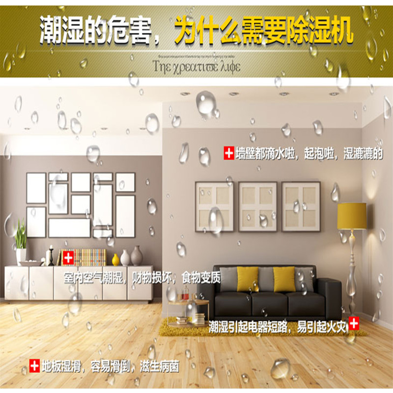 供應別墅地下室除濕機廠家免費送貨圖片