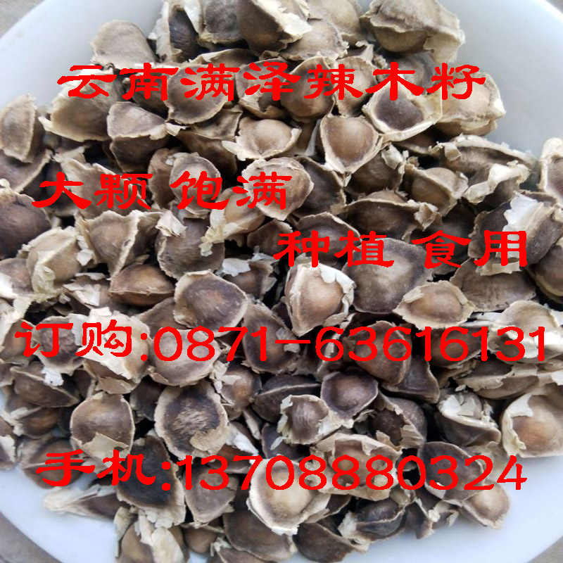 江蘇辣木籽專賣店，江蘇辣木籽種植 食用批發(fā)，辣木籽基地，蘇州辣木籽，江蘇辣木籽哪里買，江蘇辣木葉，技術(shù)辣木粉