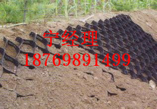 土工格室圖片/土工格室樣板圖 (1)