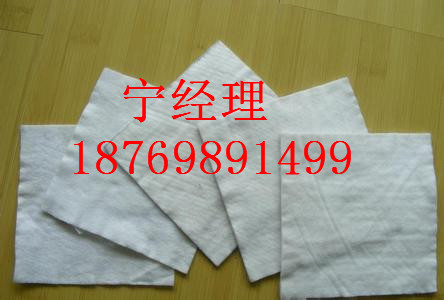無紡?fù)凉げ純r(jià)格圖片