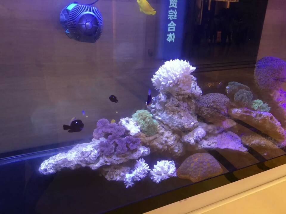 供應(yīng)高端海洋展，長(zhǎng)期承接海洋展位出租