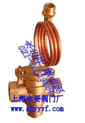 自力式壓差控制閥圖片/自力式壓差控制閥樣板圖 (2)