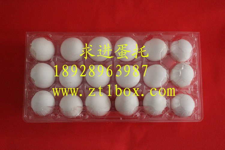 透明蛋托批發(fā)圖片