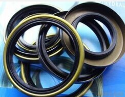 氟膠進(jìn)口骨架油封、硅膠進(jìn)口油封圖片