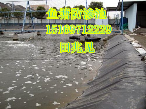 廠家供應魚塘防滲膜 藕池防滲膜圖片