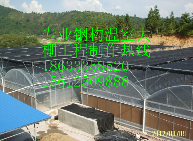 供應河北蔬菜大棚造價，蔬菜大棚的建造與用材。蔬菜大棚供應商