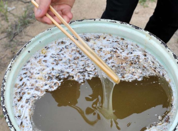 供应蜂蜜生产制造,蜂蜜厂家批发首选深圳原生堂健康管理有限公司，哪家蜂蜜最好？原生堂健康管理有限公司