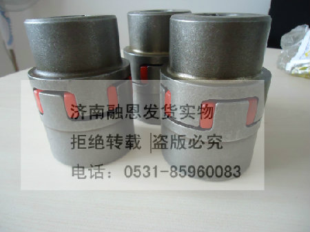 ROTEX GS 联轴器中国总代理图片