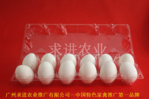 鴨蛋包裝盒供應(yīng)     鴨蛋包裝盒批發(fā)