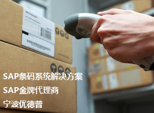 供應(yīng)SAP條碼管理系統(tǒng) SAP條碼解決方案 優(yōu)德普寧波SAP服務(wù)商