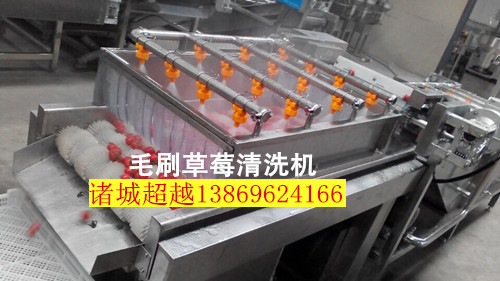 大棗清洗機(jī)圖片/大棗清洗機(jī)樣板圖 (2)