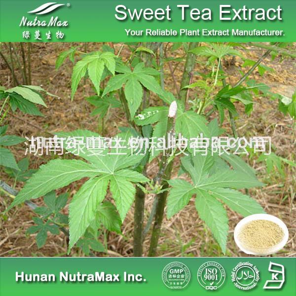 供应用于植物提取物的甜茶提取物(甜茶苷)