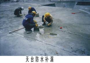 防水補漏圖片/防水補漏樣板圖 (4)