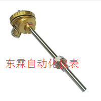 隔爆型熱電偶圖片/隔爆型熱電偶樣板圖 (4)