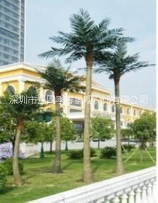 仿真椰子樹圖片/仿真椰子樹樣板圖 (1)
