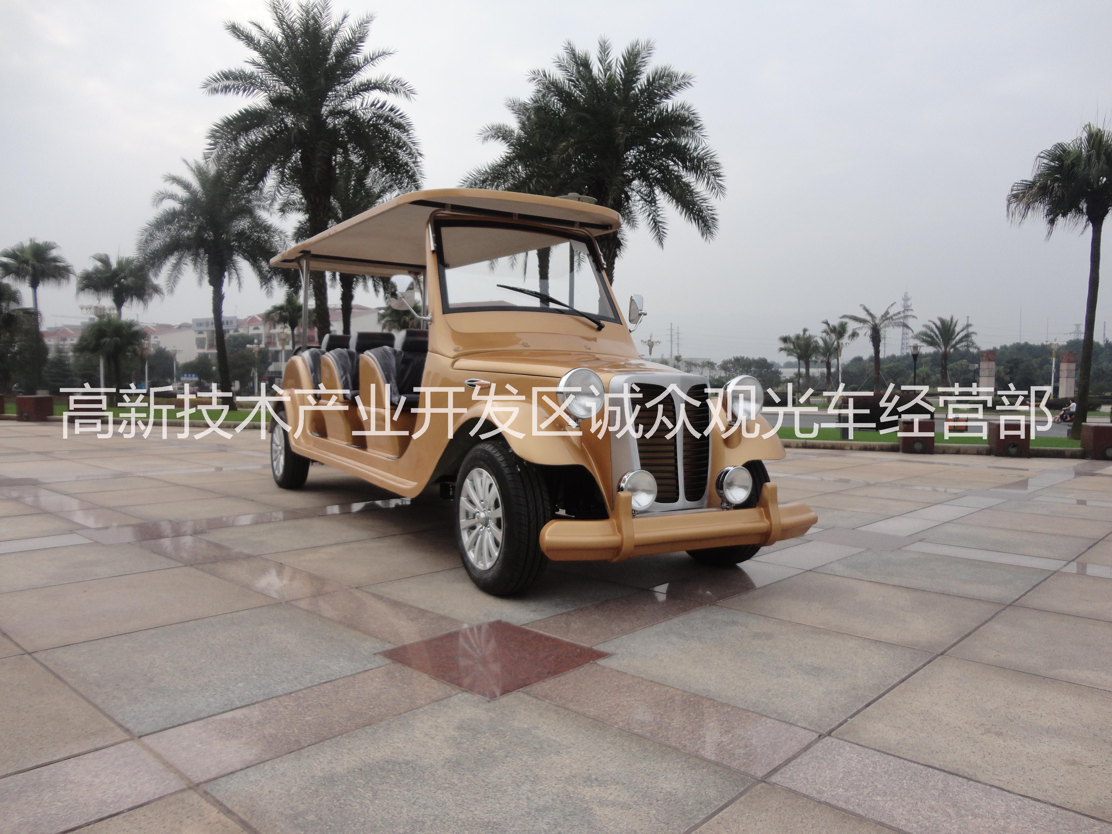 供應(yīng)*專用電動(dòng)看房車