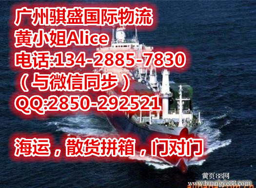 新西蘭圖片/新西蘭樣板圖 (4)