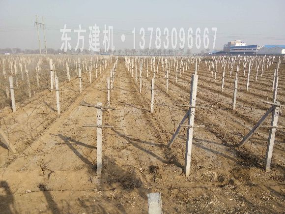 葡萄架機(jī)圖片/葡萄架機(jī)樣板圖 (4)