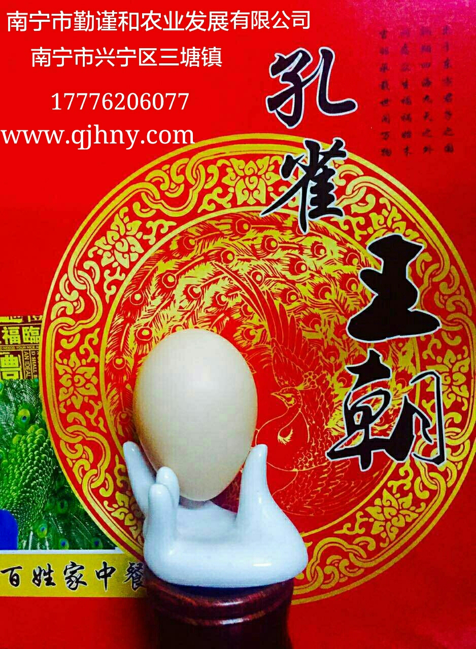 孔雀苗圖片/孔雀苗樣板圖 (3)