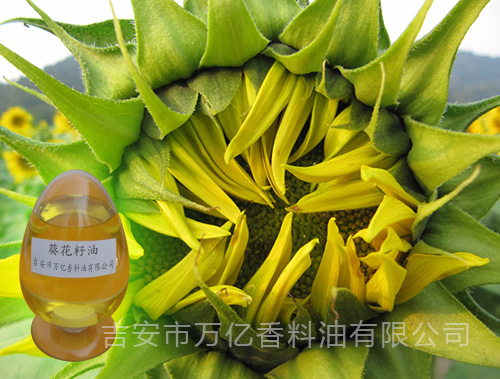 供應(yīng)藥用葵花籽油