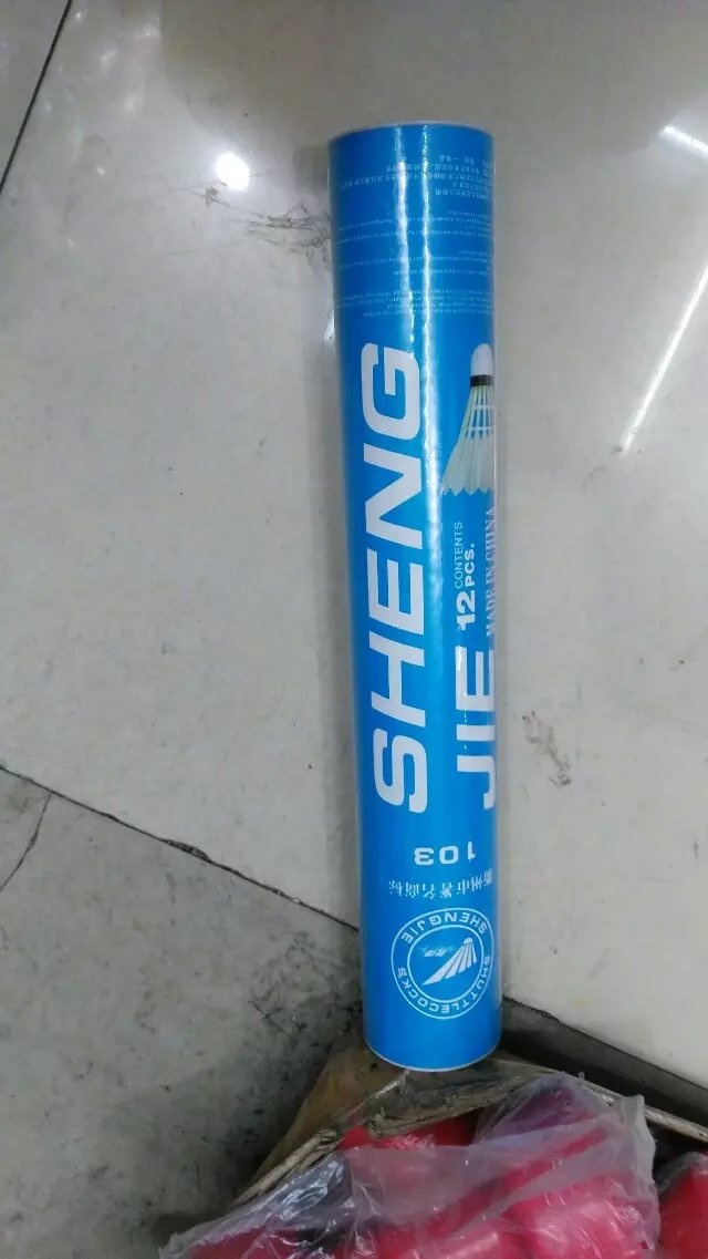 羽毛球圖片/羽毛球樣板圖 (4)