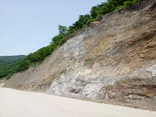 主動(dòng)防護(hù)網(wǎng)圖片/主動(dòng)防護(hù)網(wǎng)樣板圖 (2)