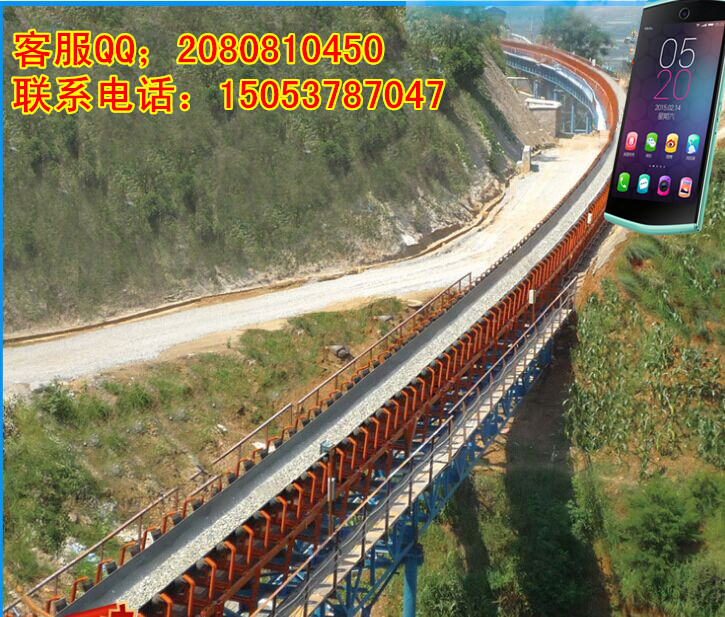 大米袋裝輸送機圖片/大米袋裝輸送機樣板圖 (4)