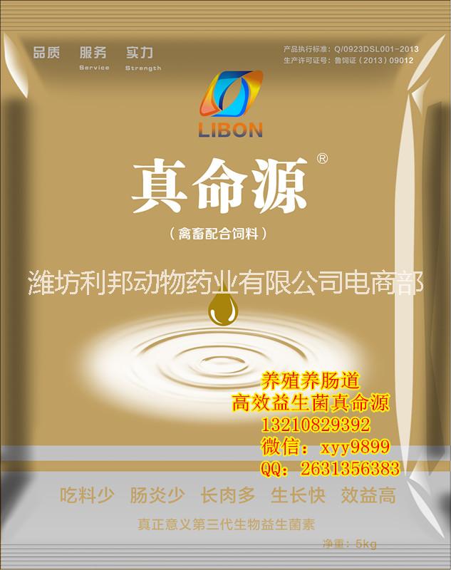 益生菌圖片/益生菌樣板圖 (3)