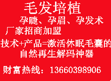 供应孕睫术孕眉术孕发术厂家招商加盟图片