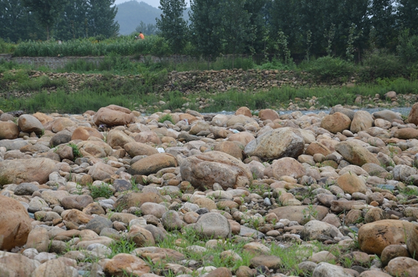 河石鵝卵石圖片/河石鵝卵石樣板圖 (3)