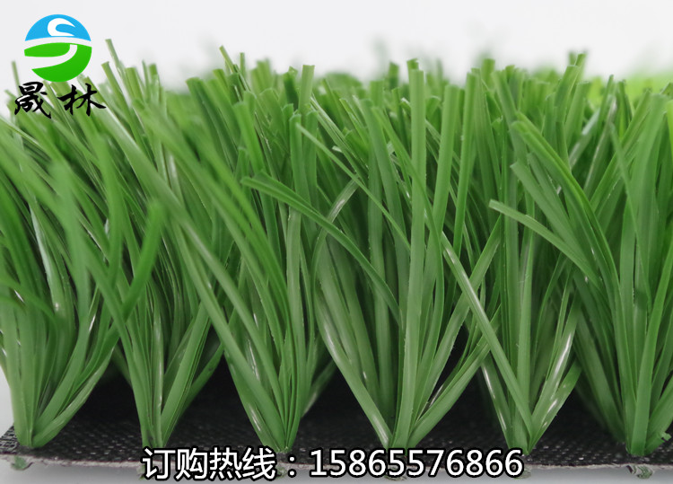 人造草坪足球場(chǎng)圖片/人造草坪足球場(chǎng)樣板圖 (2)