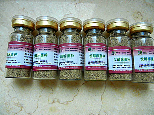 益加益發(fā)酵床菌種圖片