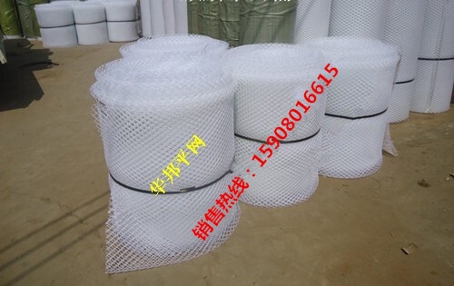 供應(yīng)養(yǎng)雞平網(wǎng)  養(yǎng)雞塑料平網(wǎng)