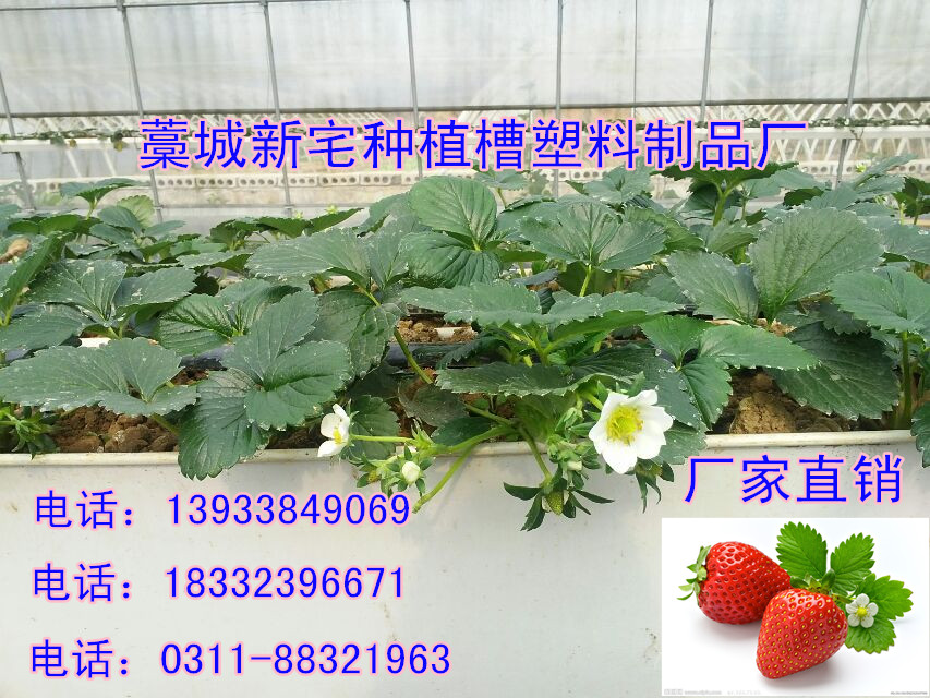 立體種植圖片/立體種植樣板圖 (3)