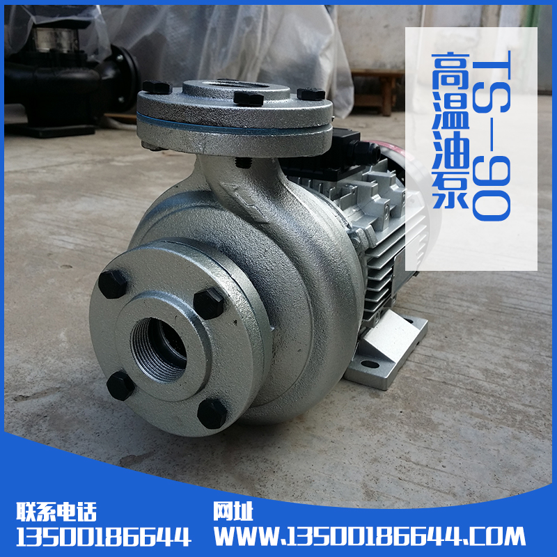 TS-90油泵生產(chǎn)廠家圖片