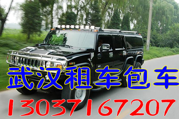 漢陽(yáng)租車公司商務(wù)旅游包車圖片/漢陽(yáng)租車公司商務(wù)旅游包車樣板圖 (4)