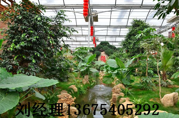 供應(yīng)聊城專業(yè)制作生態(tài)園，聊城專業(yè)制作生態(tài)園圖片，聊城專業(yè)制作生態(tài)園價(jià)格