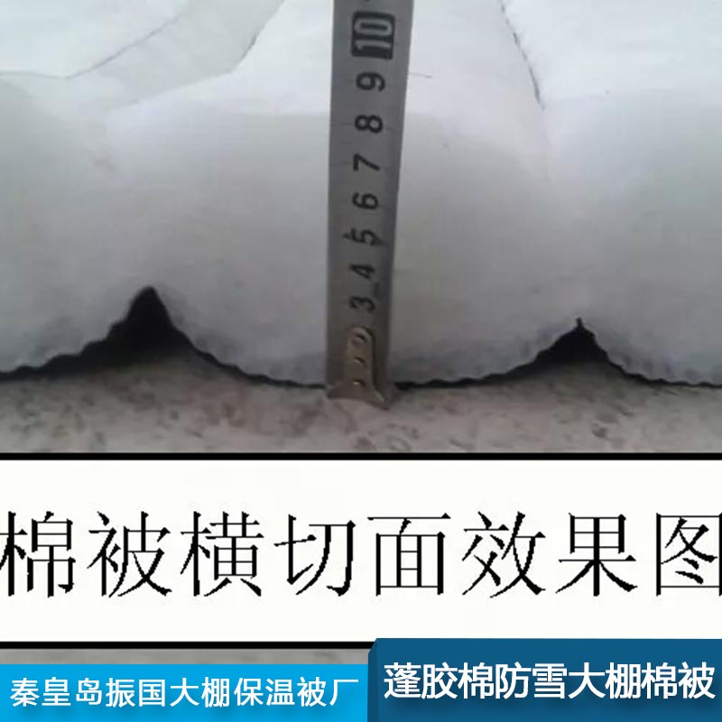 大棚棉被圖片/大棚棉被樣板圖 (4)